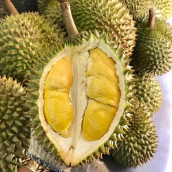 lắp đặt kho lạnh bảo quản sầu riêng tại Tiền Giang