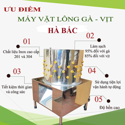 Máy vặt lông gà vịt