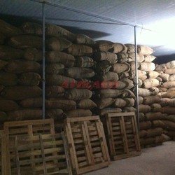 báo giá lắp đặt kho lạnh bảo quản nông sản tại daklak