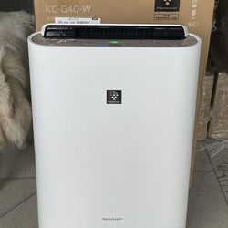 Máy lọc không khí bù ẩm SHARP KC G40 W DATE 2020 , hàng mới 100% FULLBOX