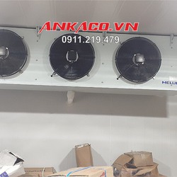 Thiết kế thi công kho cấp đông trữ hàng đông lạnh