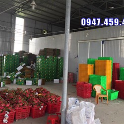 thi công kho lạnh bảo quản thanh long tại bình thuận