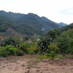 Mảnh đất view đẹp,yên bình tại Mộc Châu 1 nơi đẹp để xây dựng home stay hoặc nghỉ dưỡng gia đình.