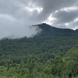 Bán lô đất 6000m tại thôn Mò Phù Chải. Mặt tiền 100m,view đẹp