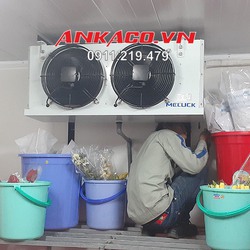 kho lạnh bảo quản hoa tươi