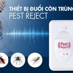 Những điều về máy đuổi chuột bằng sóng âm mà bạn nên biết,thiết bị đuổi côn trùng pest reject chính hãng
