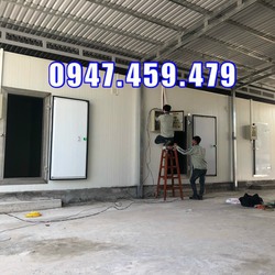 sửa chữa, tháo lắp kho lạnh bảo quản dâu tây