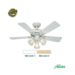 Quạt trần Hunter Beacon Hill 24905