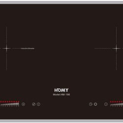 Bếp từ Homy HM-196