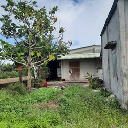 Bán nhà vườn 1000m2 cách cầu bến lức 1,5km.