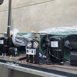 cụm máy nén kulthorn 2,45hp CAW 2495ZB 9