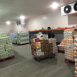 Lắp đặt kho lạnh bảo quản sữa tươi tại nhà máy