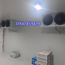 kho lạnh bảo quản bưởi da xanh tại tiền giang