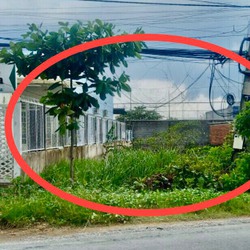 Chính chủ bán đất thổ cư 8x54m SHR MT ĐT 826 xã Tân Trạch, Cần Đước