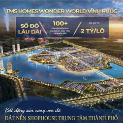 Suất đầu tư dự án TMS Vĩnh Yên 0375152321