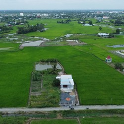 Cần bán 1352m2 đất lúa đường ôtô ấp 1 xã phước dông cần đước long an chỉ 2,9 Tỷ