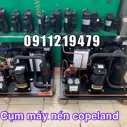 Lên cụm máy nén copeland 3hp CRNQ 0300