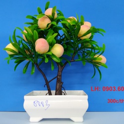 hoá trang trí giá rẻ