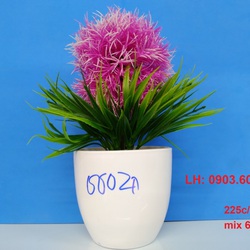 hoa trang trí ngày lễ giá rẻ