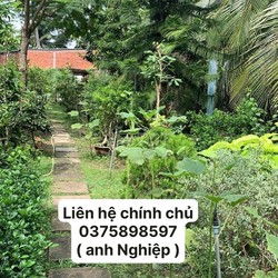 Cần bán đất khu vực đường Nguyễn Đình Chiểu Phường 8 Tp. Bến Tre Bến Tre.
