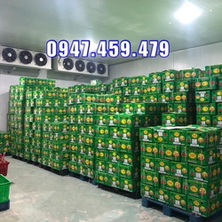 Bàn giao kho lạnh bảo quản thanh long