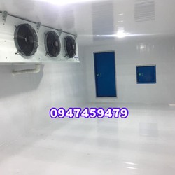 kho lạnh bảo quản nấm kim châm giá tốt