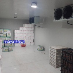 Thi công kho lạnh bảo quản trái cây