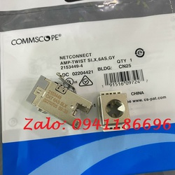 Phân phối Ổ cắm mạng Cat6A Commscope 2153449 2/4