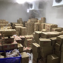 kho lạnh bảo quản kem số lượng lớn