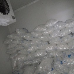 Lắp đặt kho lạnh bảo quản đá viên chất lượng, giá tốt