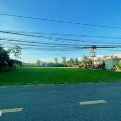 Đất lúa mặt tiền đường Bờ Mồi, 24x55m xã Phước Tuy, Cần Đước