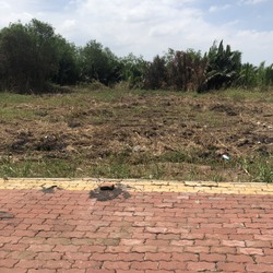 Bán lô đất biệt thự khu dân cư Thành Hiếu, 10x20m, sát bên KCN Long Hậu