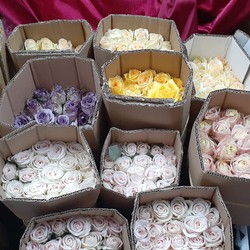 Lắp đặt kho lạnh bảo quản hoa tươi tại TP.HCM