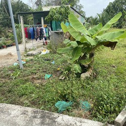 Chính chủ bán 150m2 đất Phường 6 Tp Tân An, SHR, 980tr. Lh:0947925867.