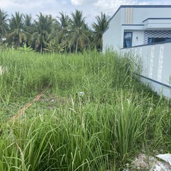 Bán 177,8m2 đất sau lưng KCN Giao Long, SHR, 590 Triệu.