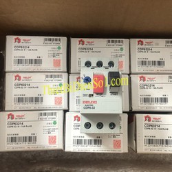 Áp tô mát Delixi CDP6 32 9 14 A Cty Thiết Bị Điện Số 1