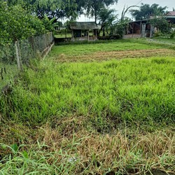 Đất thổ cư 5x27,6 đường bê tông 5m, KDC đông tại Long An, chỉ 1,48 tỷ.