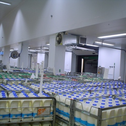 Thi công hoàn thiện kho lạnh bảo quản sữa tươi