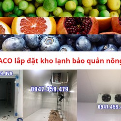 Thi công kho lạnh bảo quản nông sản giá tốt