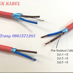 Cáp chống cháy có chống nhiễu 2x1.0, 2x1.5, 2x2.5