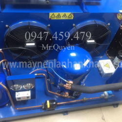 Lên cụm máy nén danfoss 12hp SM148 cho kho lạnh