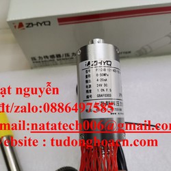 PT124B 121 M22 152/460 cảm biến đầu dò chính hãng XGHNDZ