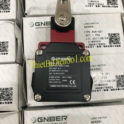 Công tắc hành trình Gnber RSA 021 Cty Thiết Bị Điện Số 1