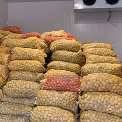 thi công kho lạnh bảo quản nông sản khoai tây