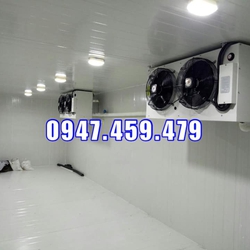 Thi công kho lạnh bảo quản thực phẩm, rau củ quả,....