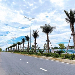 Đất thị trấn giá rẻ sổ riêng cần bán gấp