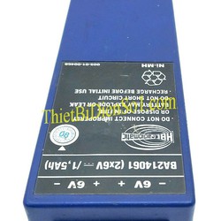 Pin HBC Radiomatic BA21406 Cty Thiết Bị Điện Số 1