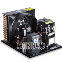 lắp đặt cụm máy nén Kulthorn 1,98hp CAW 5524EC