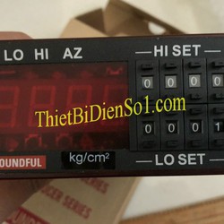 Bộ chuyển đổi Poundful PF M 5B E53 N13 Cty Thiết Bị Điện Số 1