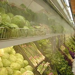 Lắp đặt kho lạnh bảo quản rau củ cho các siêu thị